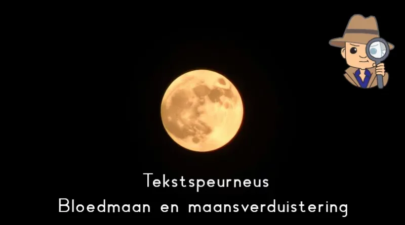 bloedmaan