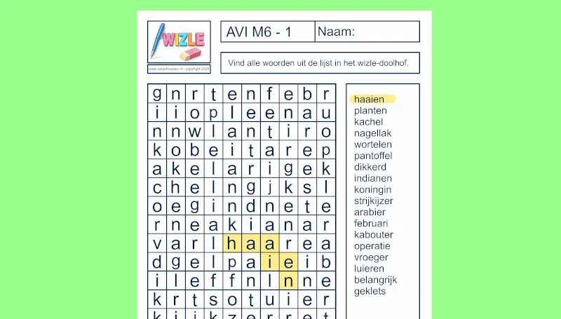 Wizle - AVI M6 - Editie 1