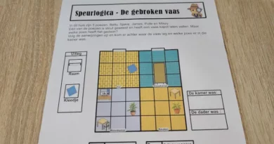 Speurlogica – De gebroken vaas